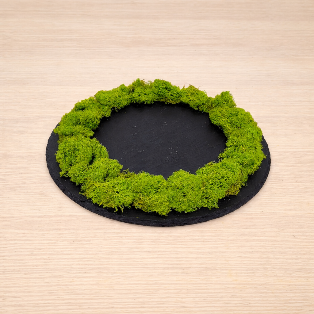 Samanu padeklas samanu miskas samanos stabilizuotos liofilizuotos